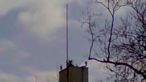 Поднятие флага России в Ялте 11.03.2014