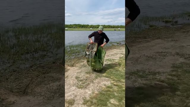 Платная рыбалка, пруд Черноморец 21.05.21. Улов рыбака.