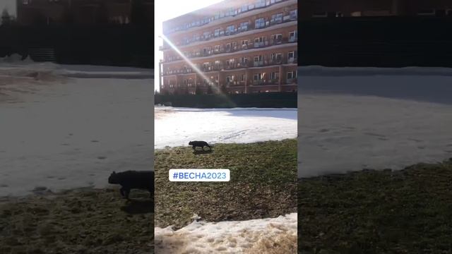 Весна близко :)