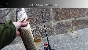 Спиннинг Серебряный Ручей Salamander UL SU762LML