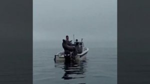 Тюлень забрался на катер к рыбакам во Владивостоке. Видео: Улов 25