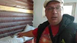 Как выбрать лучшую породу индюков ... Все за и против мелких пород индюков