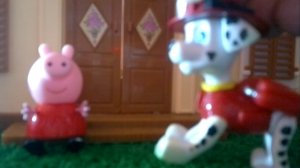 Мультфильм про свинку Пэпу и Щенячий патруль