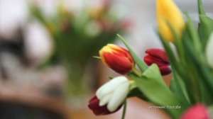 Бренды Советской эпохи. "Наши любимые женщины" (2018)