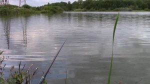 ШАЛЬНОЙ КЛЁВ КАРАСЯ НА ПЕНОПЛАСТ С ЧЕСНОКОМ. Рыбалка летом на карася. Рыбалка на поплавок июлем 202