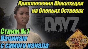 DayZ Apocalypse. Приключения Шоколадки на островах. Стрим. #bulldezeerdayz