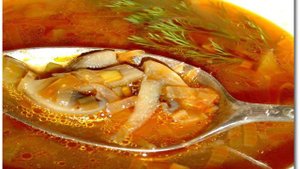 Грибная солянка