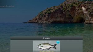 | My Fishing World | ФАРМ Для подписчиков | Луфарь |