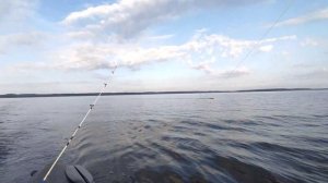 Рыбалка на озере Сямозеро в Карелии. Судак и щука на троллинг. 28.08.2022