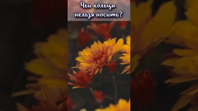 Чьи кольца нельзя носить? #shorts