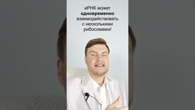 Полисомы. ЕГЭ Биология. ЕГЭ 2022.