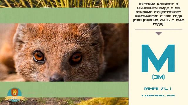 Мир малышам | Развивающие видео для детей | Русский алфавит: Буква М смотреть онлайн