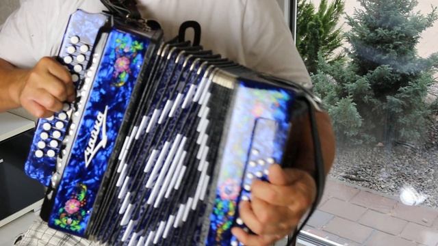 Шуйская Гармошка чайка ? Гармонь «Чайка» 314 смотреть онлайн