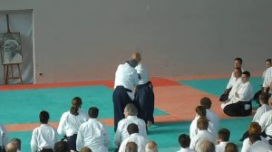 stage aikido YAMADA sensei N°1