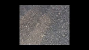 СHCNAV КФХ МАХМАДОВ (Брусницын)
