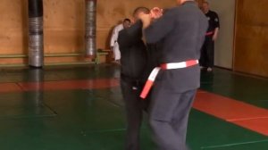 Традиционное Джиу – Джитсу: техника болевых Контролей.