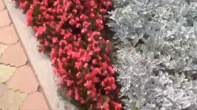 Южно-Сахалинск смотреть онлайн