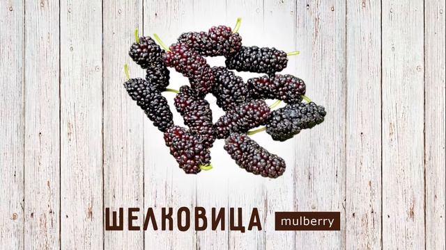 Ягоды: слова для детей | Russian words: berries смотреть онлайн