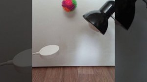 настольные лампы