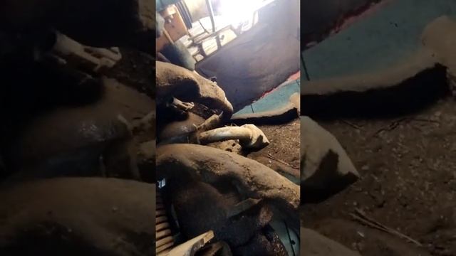 Как снять двигатель на Bobcat часть 2 смотреть онлайн