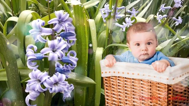 Увидев, как мужчина из машины выбросил коробку в реку, Святослав поспешил туда Истории любви до сле смотреть онлайн