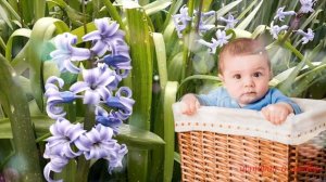 Увидев, как мужчина из машины выбросил коробку в реку, Святослав поспешил туда Истории любви до сле