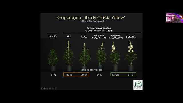 GrowON Webinar: Making Lighting Make Sense in Floriculture Propagation. смотреть онлайн