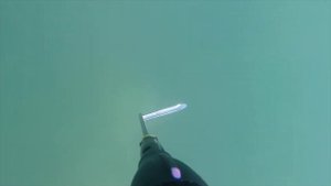 Русская подводная рыбалка на карпа в пруду Долбанул не мелкого карпового монстра