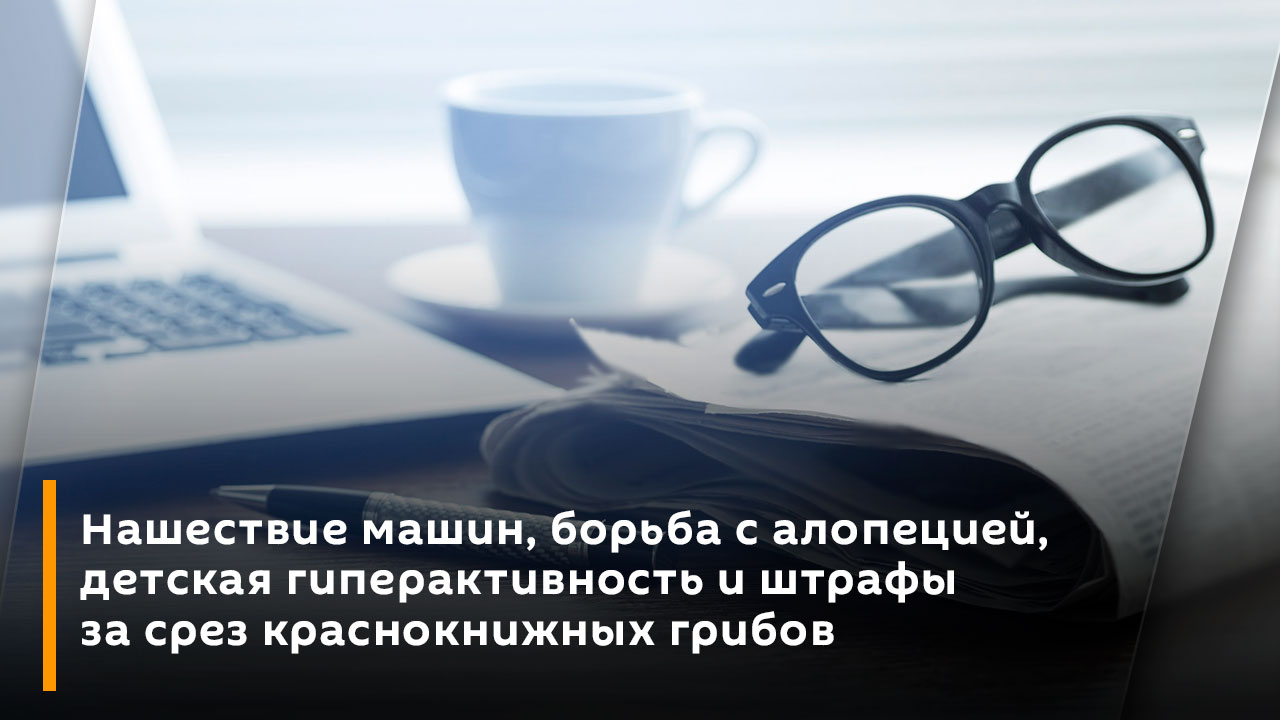 Нашествие машин, борьба с алопецией, детская гиперактивность и штрафы за срез краснокнижных грибов