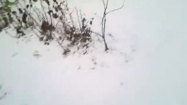 Ну разумеется наше хулиганьё и хризантемы смотреть онлайн