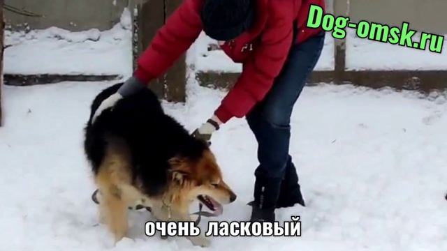 Обратите внимание на РОЯ! смотреть онлайн