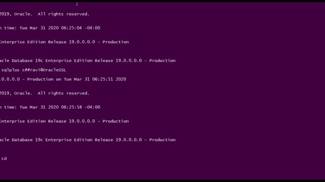 Weblogic and Wildfly JDBC SSL Connection to Oracle and MariaDB смотреть онлайн