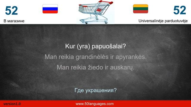 Выучите литовский всего за 100 простых уроков смотреть онлайн