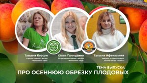 Обрезка плодовых деревьев и кустарников: осенью или весной?