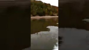 Тохатсу 5 4 такта река Кама