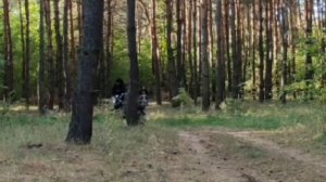 ? УЧУСЬ СТАНТИТЬ НА АЛЬФЕ! СТАНТ НА АЛЬФЕ! СТАНТ НА МОПЕДЕ АЛЬФА МУСТАНГ! (СТАНТ 1 ЧАСТЬ)