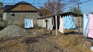 жарю картошку со шкварками