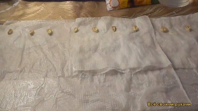 Посев Кукурузы На Рассаду смотреть онлайн