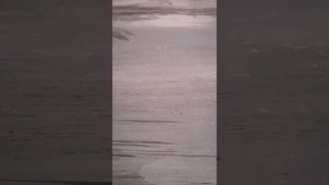 Самоделки по майнкрафт 1.16 из лего.