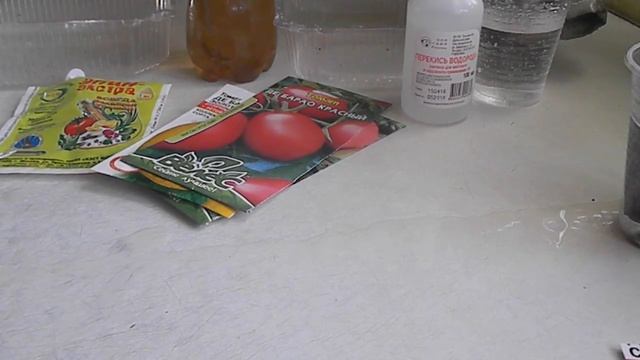 Три способа проращивания семян томатов. смотреть онлайн