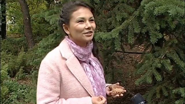 Прогулки по Ботаническому саду УрО РАН смотреть онлайн