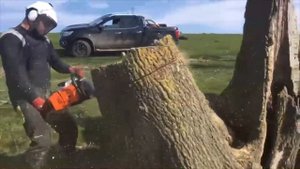 Stihl MS 881