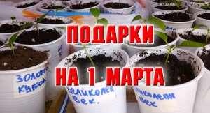 Подарки на 1 марта.mp4
