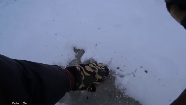 Поставил МЕСТНУЮ и ! Первый ЛЕД 2023-2024! Рыбалка на ЖЕРЛИЦЫ- БАЛАНСИР! смотреть онлайн