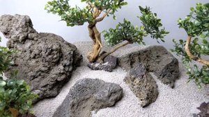 Коряги для аквариума с искусственными растениями. Бонсай аквариумный в Украине