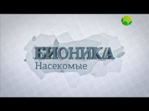 Бионика. Насекомые