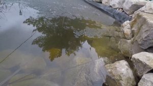 #Циркуляционный #насос Подключение насоса с фильтром, и запуск водопада на пруду (Апрель 2019)