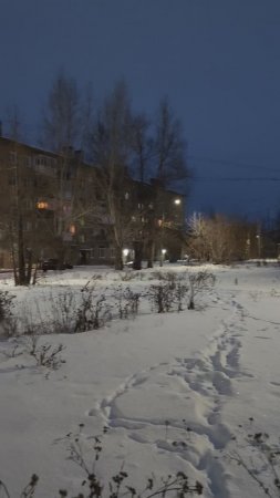 Предновогодний вечер