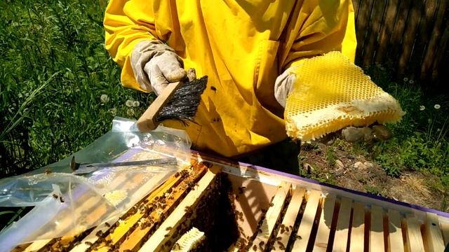 Лишний сот смотреть онлайн