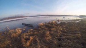 Весенняя Охота на уток в Якутии!